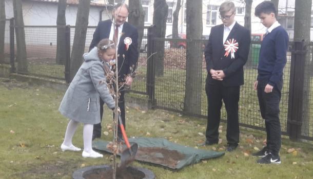 Pamiątkowe wkopanie dębu