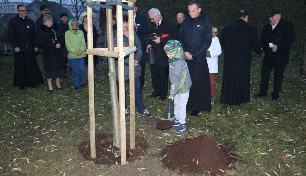 Uroczystość posadzenia dębu - 18