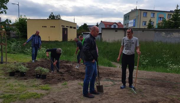 Sadzenie krzewów i drzew przy budynku wielorodzinnym Smolarnia 6