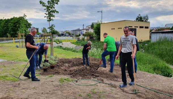 Sadzenie krzewów i drzew przy budynku wielorodzinnym Smolarnia 6