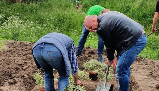 Sadzenie krzewów i drzew przy budynku wielorodzinnym Smolarnia 6