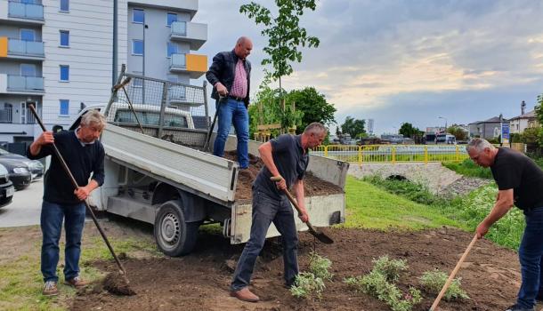 Sadzenie krzewów i drzew przy budynku wielorodzinnym Smolarnia 6