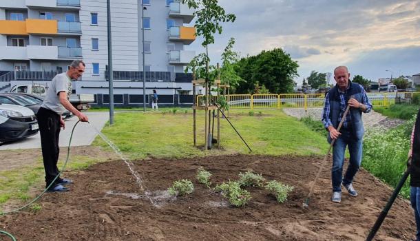 Sadzenie krzewów i drzew przy budynku wielorodzinnym Smolarnia 6