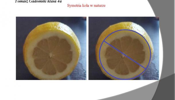 „Majówka, przyroda i … matematyka” – konkurs matematyczny w SP nr 2