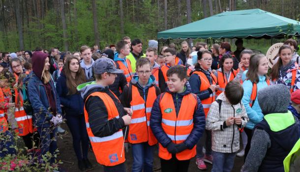 Posadziliśmy 10 000 drzew! (6)